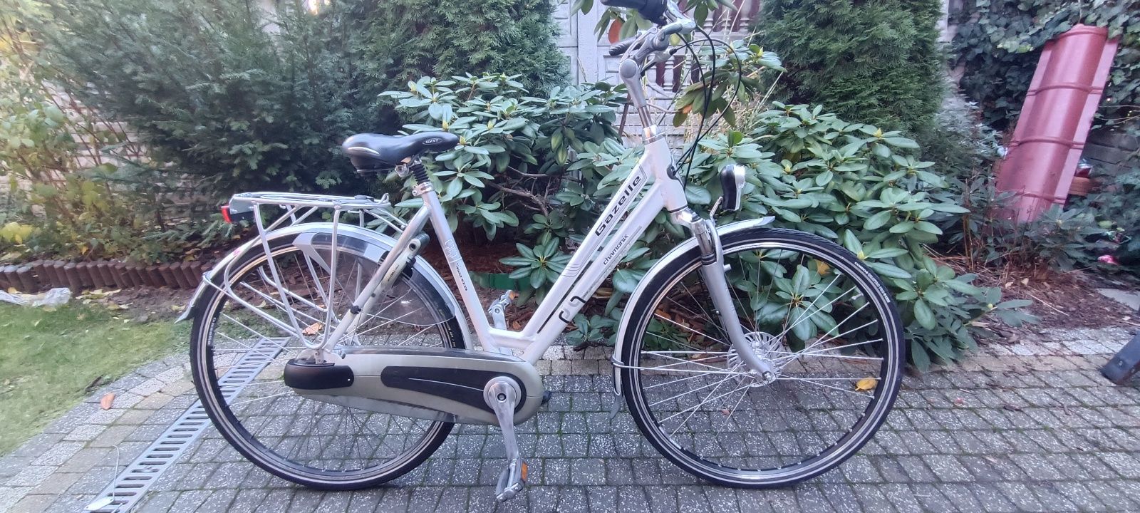 Rower Gazelle Batavus limited i inne