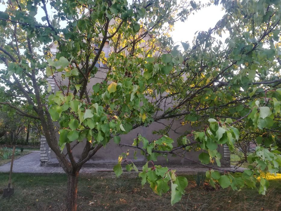 Продается дачный участок