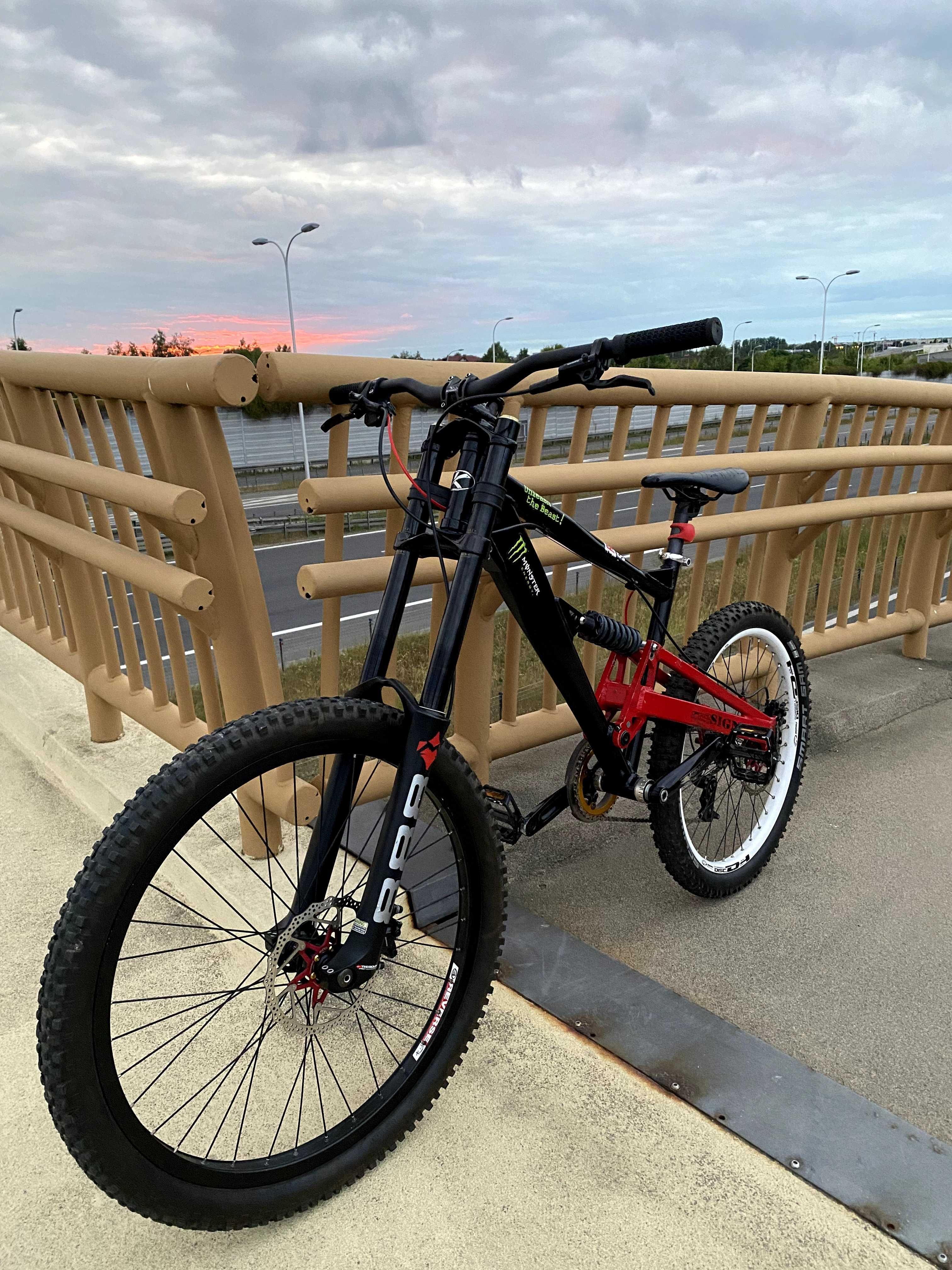 Rower custom mtb