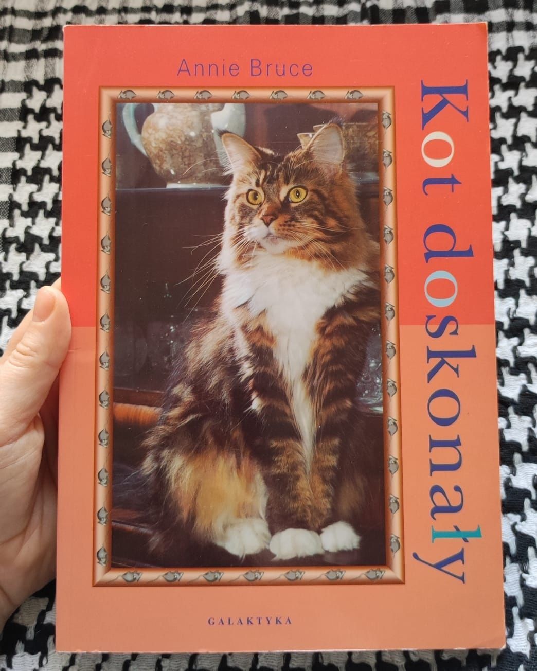 Kot doskonały Annie Bruce