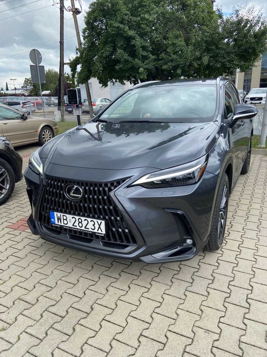 Lexus NX350h OMOTENASHI + luxury, hak, koła zimowe, po serwisie