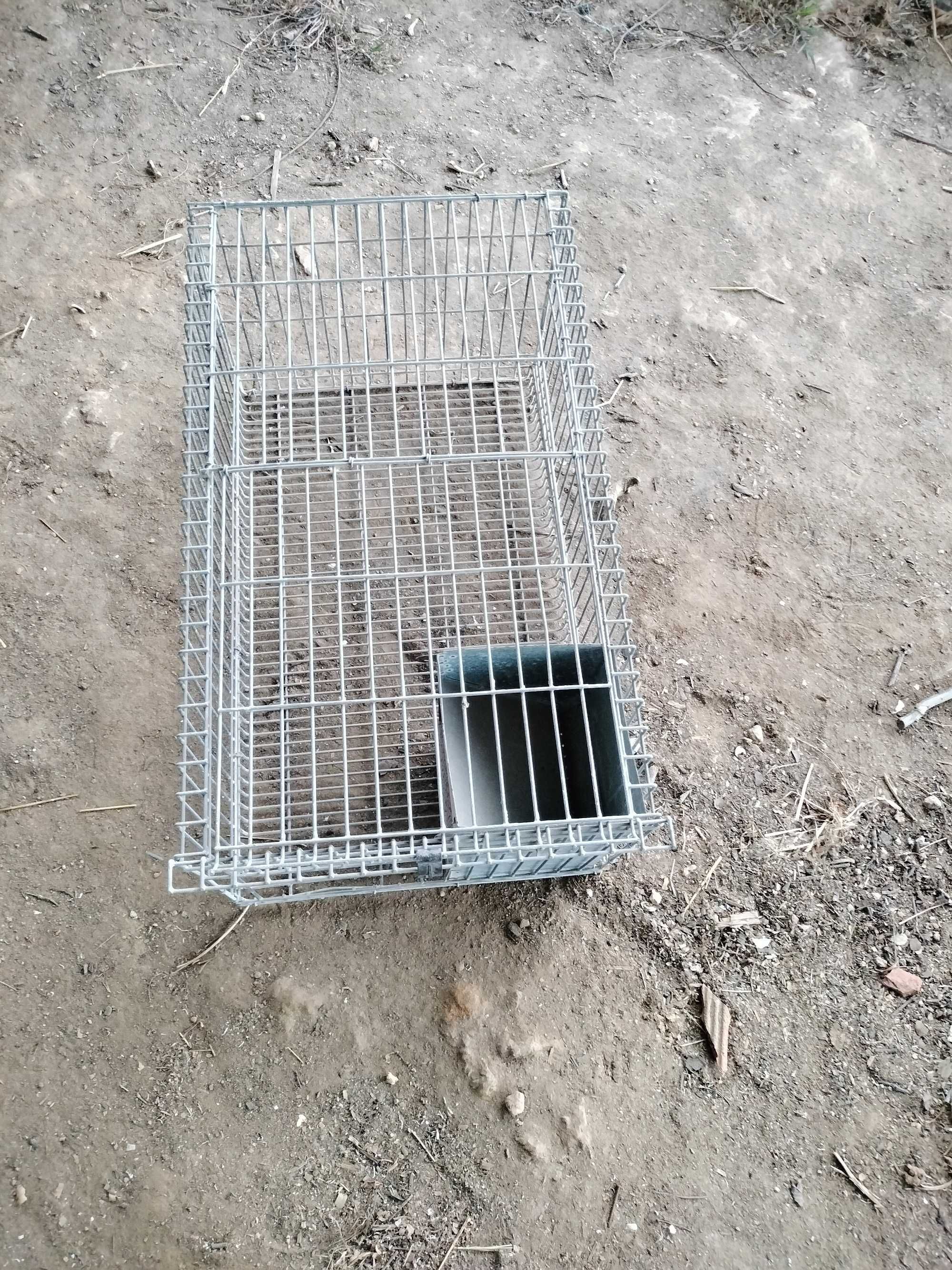 Coelheiras  para coelhos