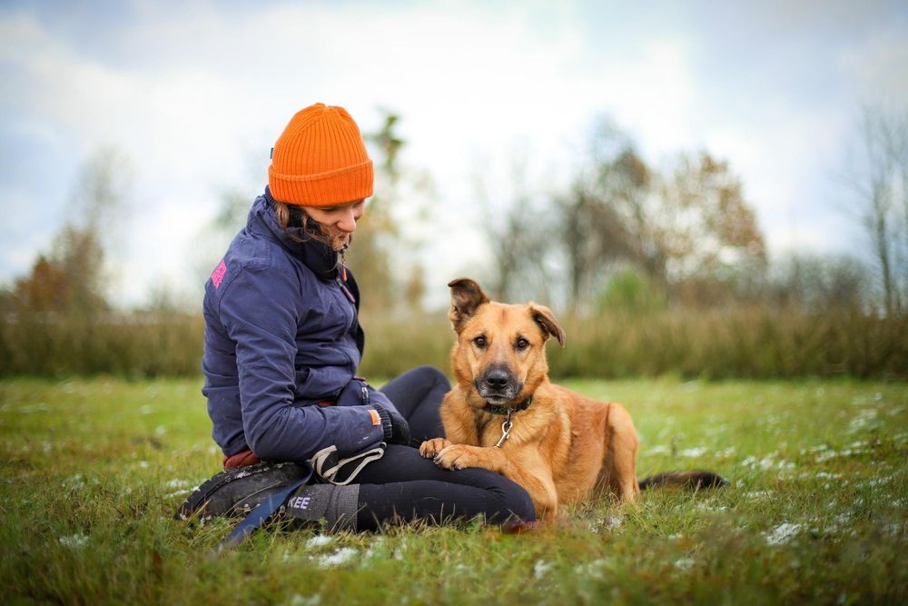Dexster pomóż mu zaufać