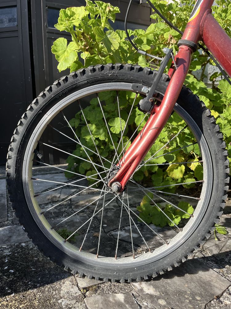 Bicicleta de criança