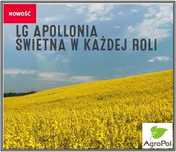 Rzepak Ozimy LG APOLLONIA  Najplenniejsza odmiana W Polsce - Rekord