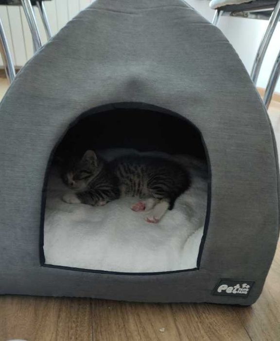 Domek legowisko dla psa kota przytulna buda miękka ciepła