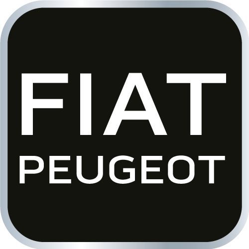 Zestaw Blokad Rozrządu Do Silników Diesla Fiat/Peugeot