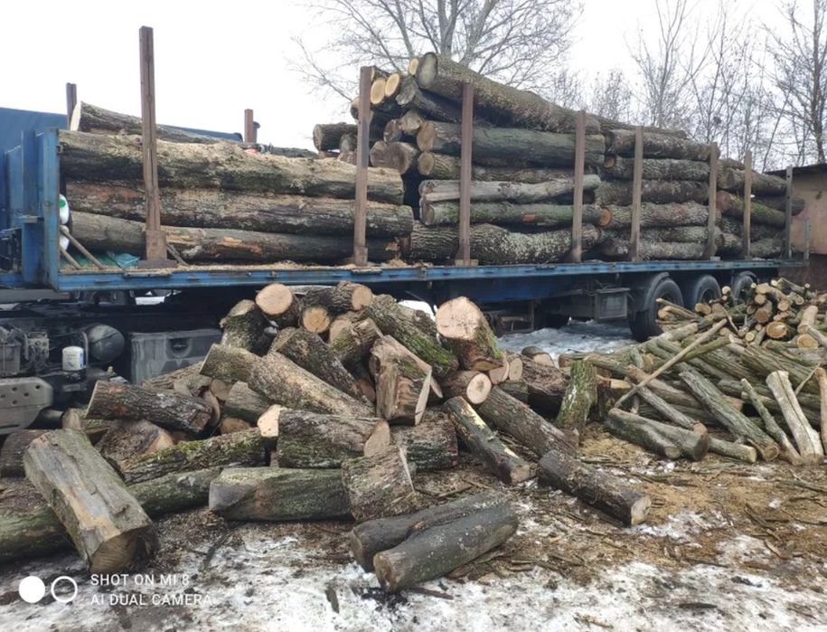 Продам дубові дрова Оптом та в роздріб. Оптові ціни. 3-7-10-35 м3