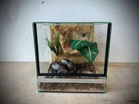Terrarium szklane z wystrojem 30x30x30 cm. AlleTerra
