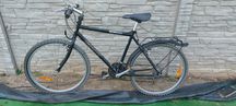 Rower giant gsr 200