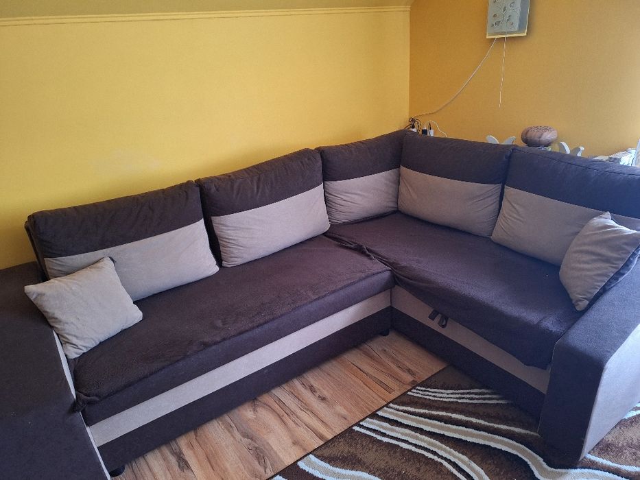 Brązowy naroznik roczny bez żadnych wad jak nowy z pufkami