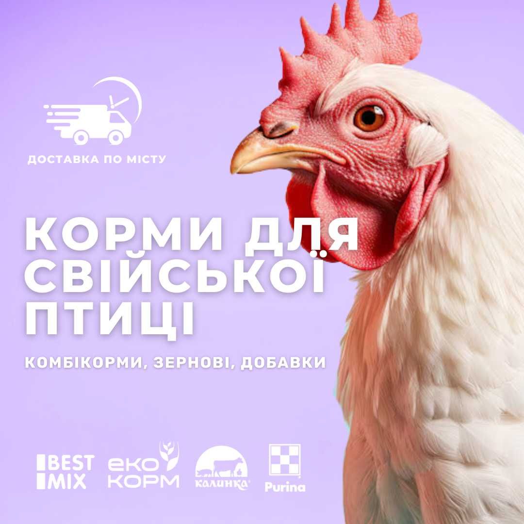 Комбікорм та зерно для несушок, бройлерів, перепілок, качок + ДОСТАВКА