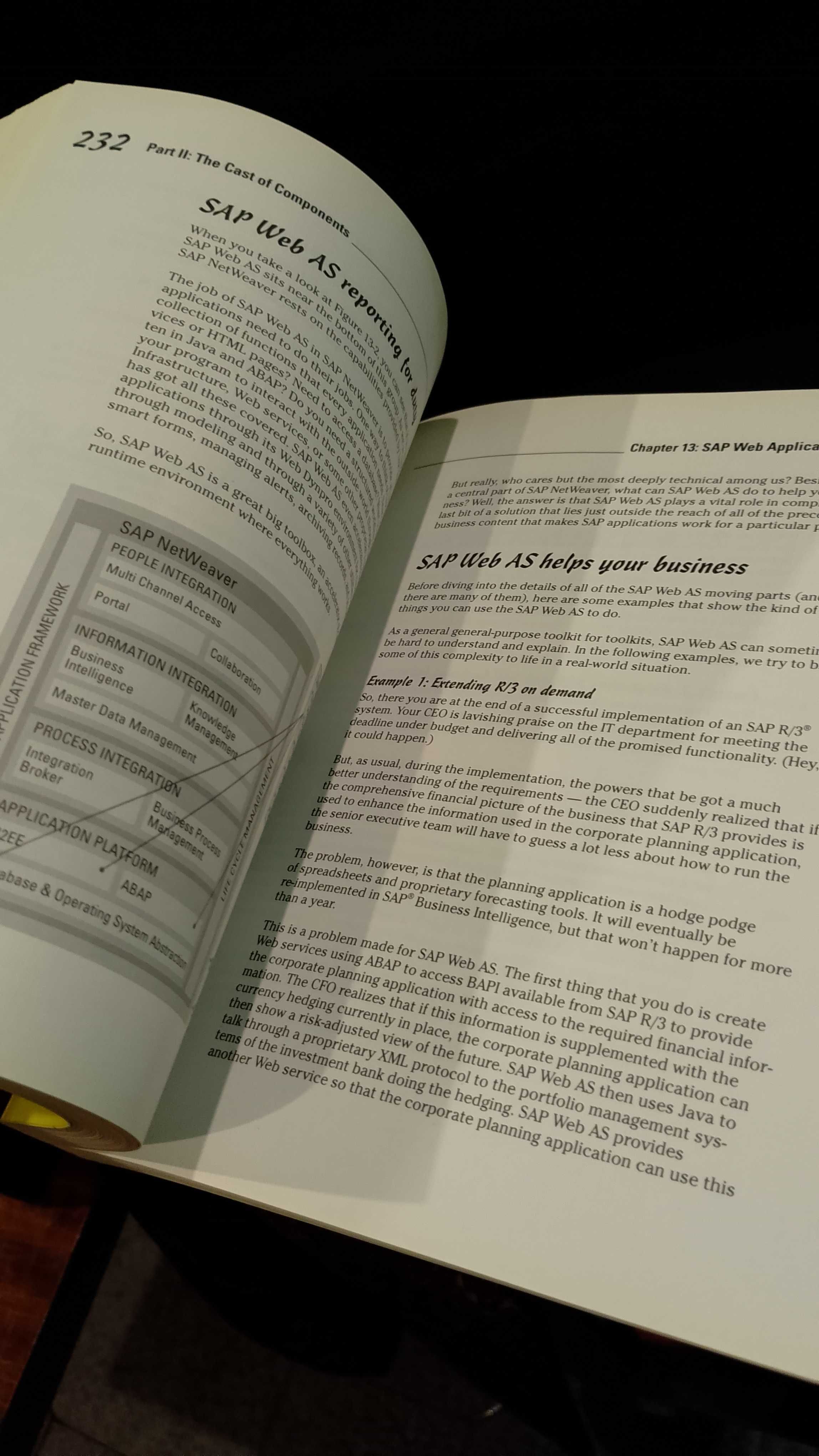 SAP NetWeaver for Dummies - Dan Woods e Jeffrey Word