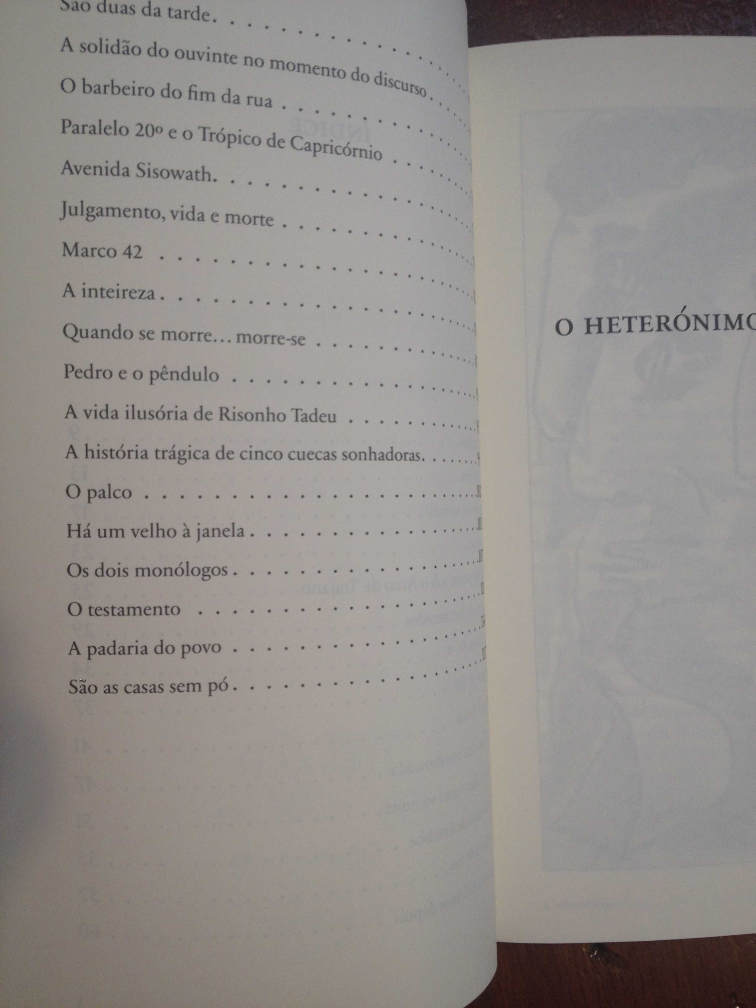 Henrique Castanheira - O heterónimo de pedra