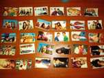 Cromos 90210 bollycao