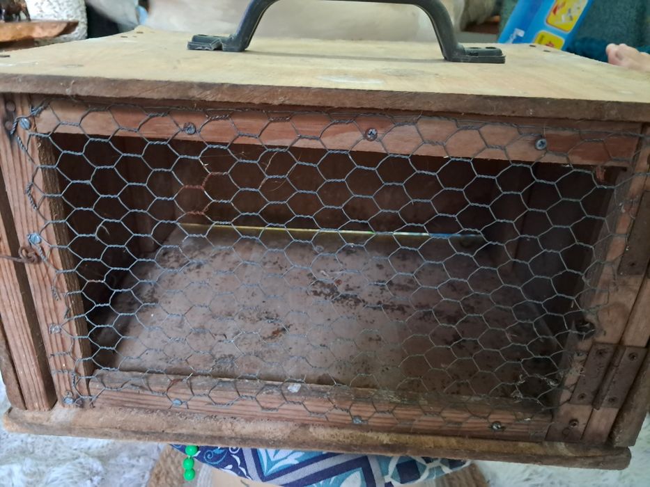 Caixa de transporte de pombos