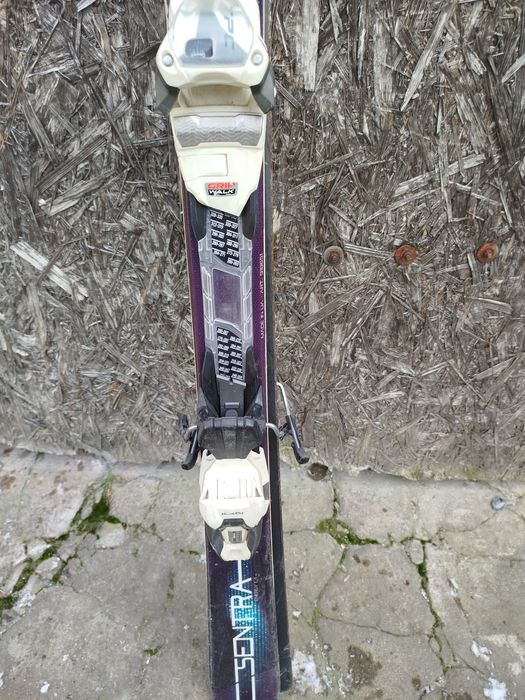 Narty męskie Nordica