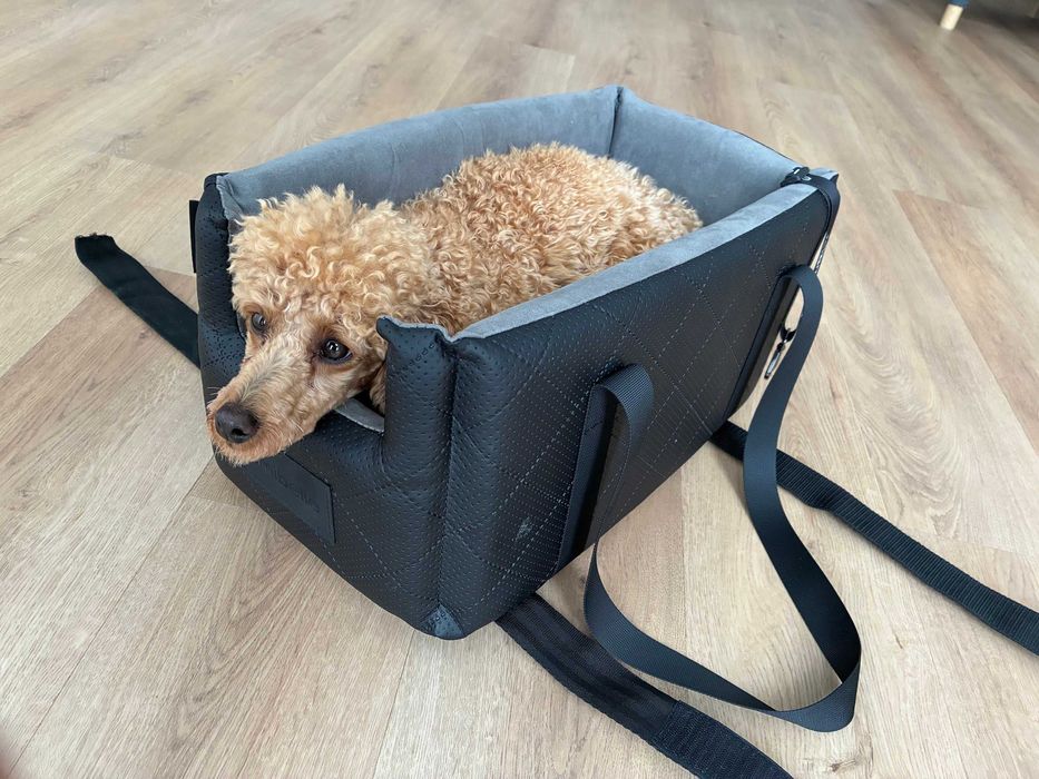 Amibelle Locky Black - fotelik samochodowy dla psa lub kota 2 w 1