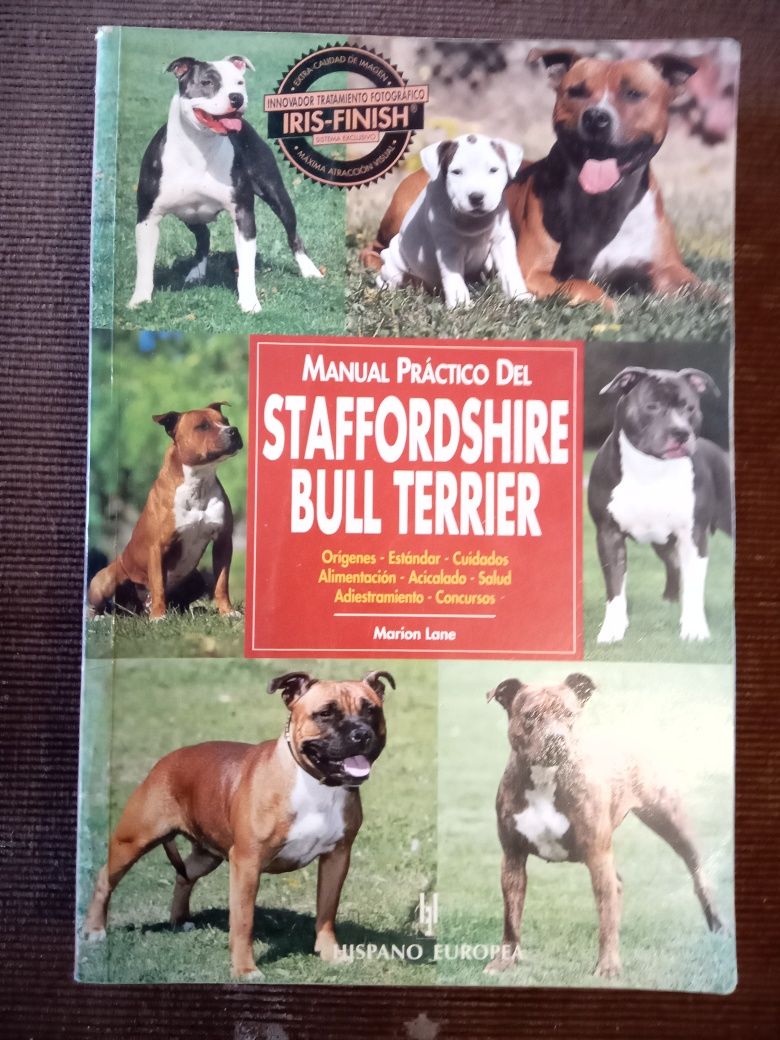 Staffordshire bull terrier