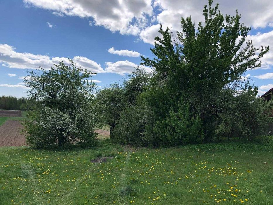 Продам будинок,земельнуділянку!