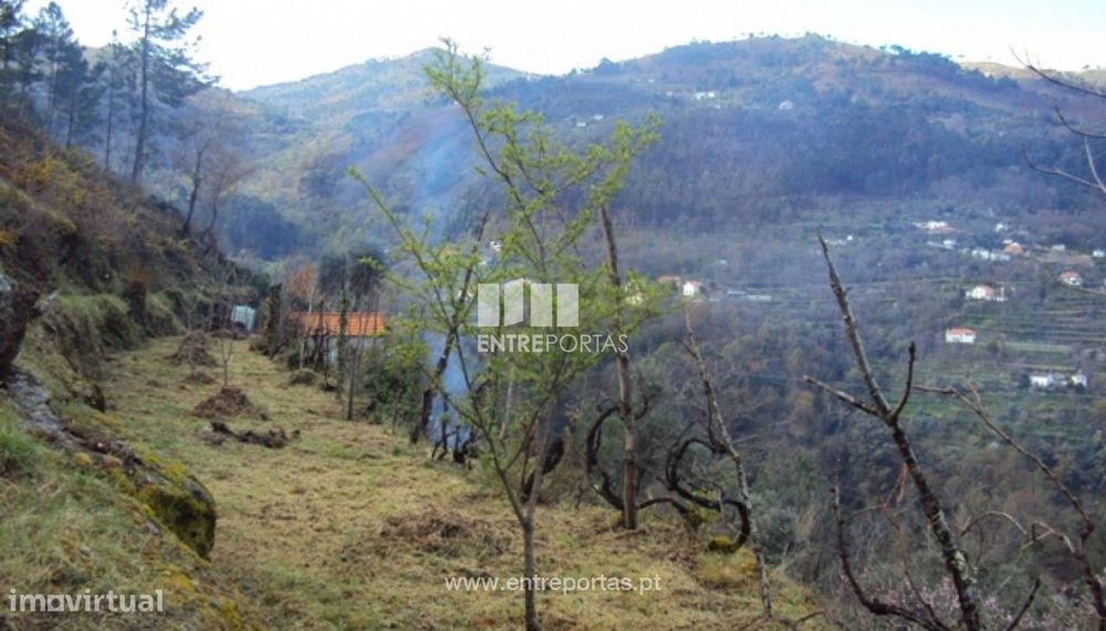 Venda Terreno, Ferreiros de Tendais, Cinfães