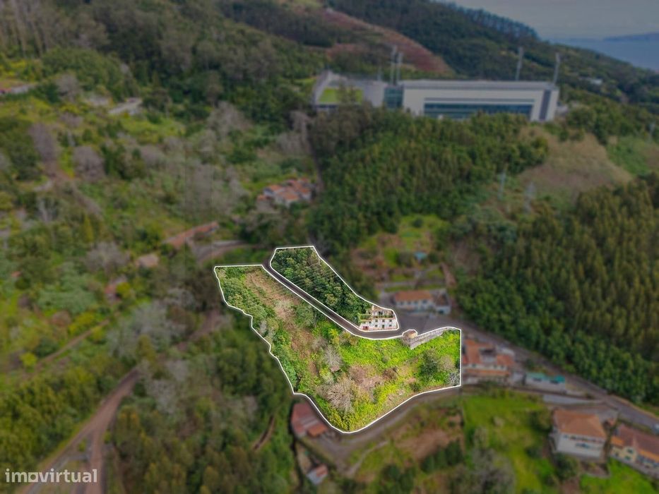 Terreno de 4500m2 na Choupana (Santa Maria Maior)