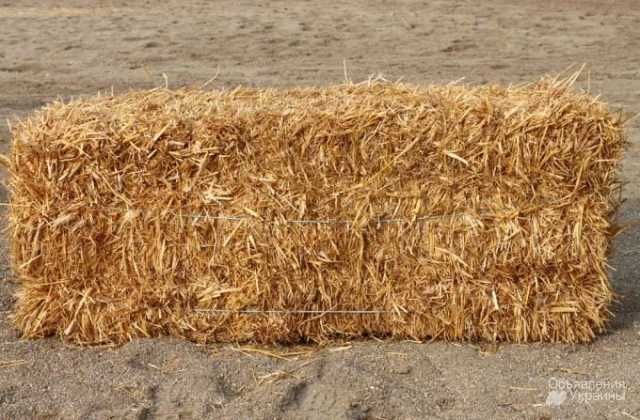 Продам тюки соломи.