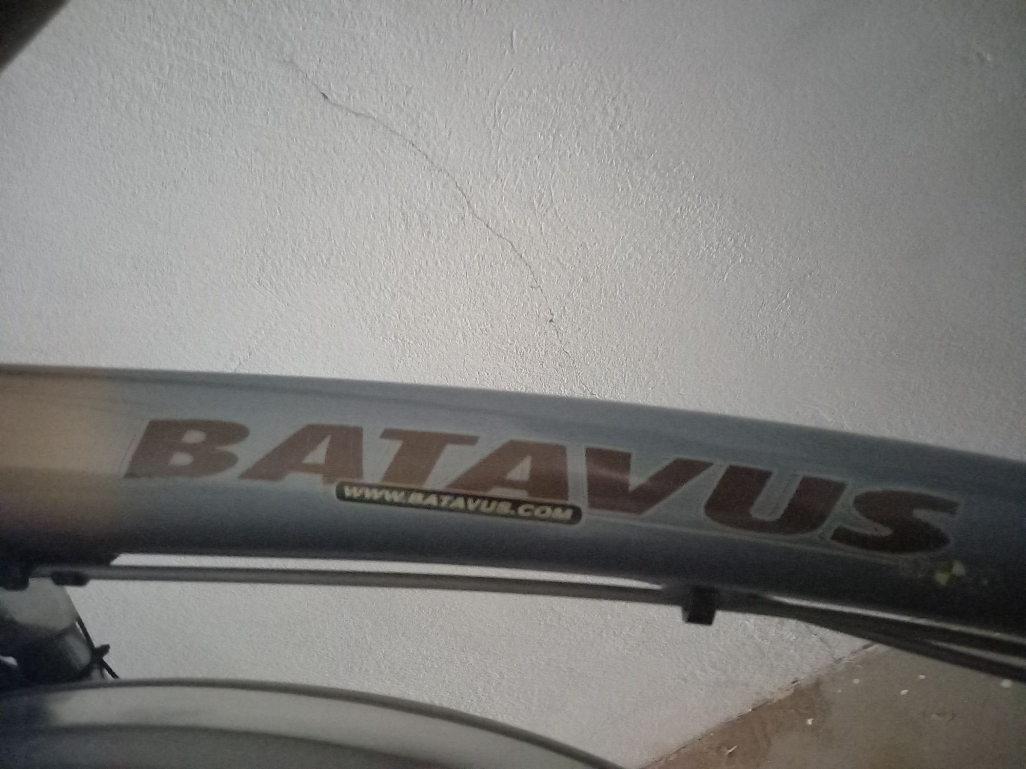 Rower Batavus, miejski rower