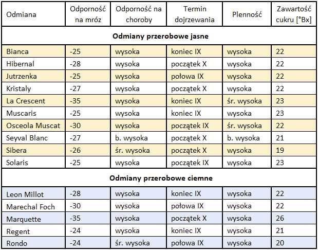 Sadzonki winorośli - przerobowe i deserowe, ze szkółki - z paszportem