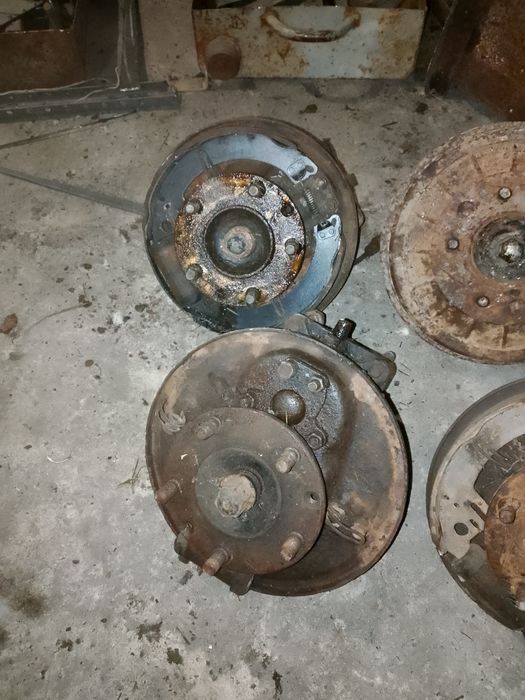 Редуктор луаз, волинянка