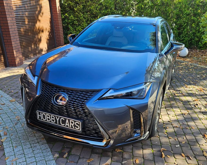 Lexus UX Salonowy. Zadbany. 1 Prywatny właściciel. Certyfikat.