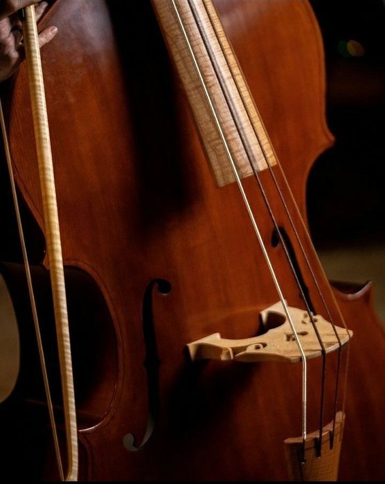 Vendo contrabaixo com marcas de uso