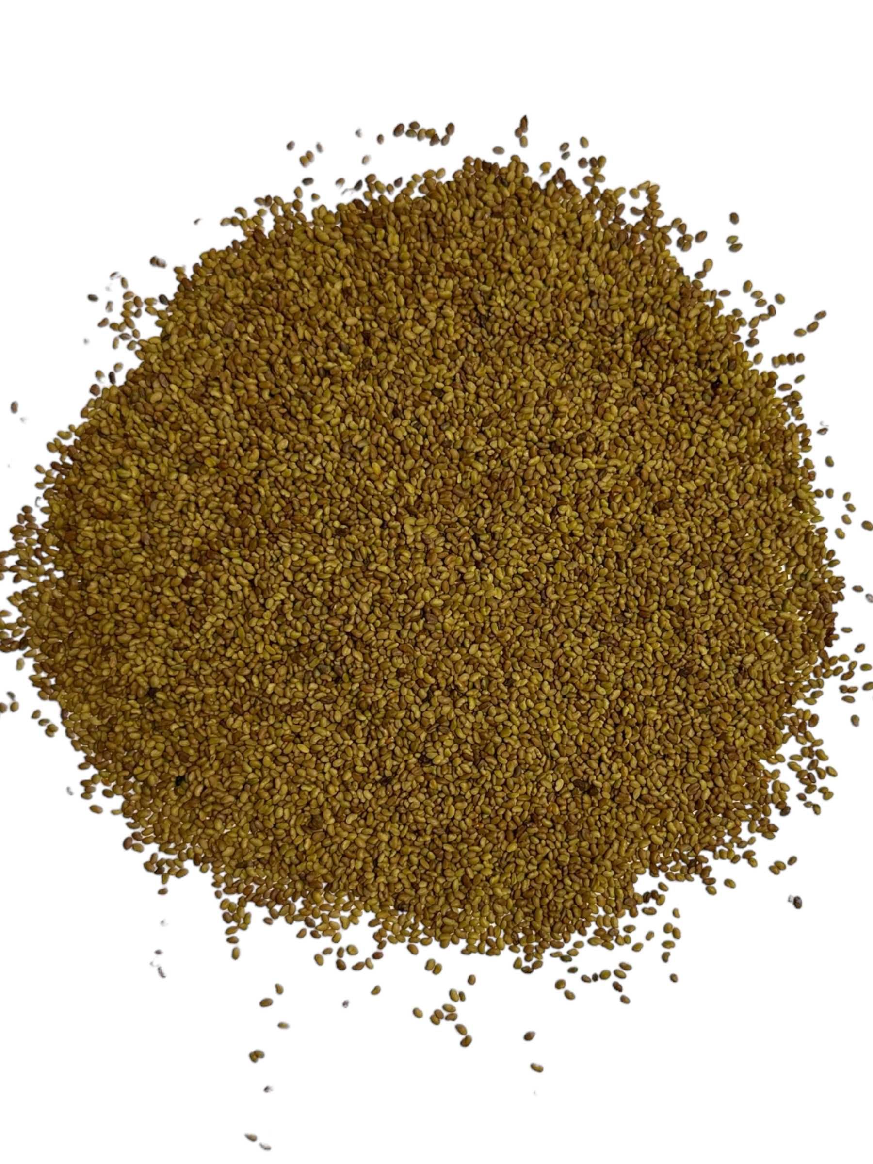 Lucerna paszowa nasiona ziarna ładna czysta 1kg