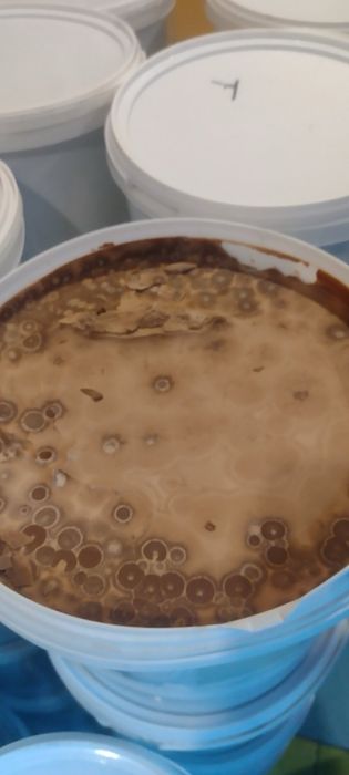 Barry Callebaut  чорний молочный белый  60%,28%,64%70%/молочний, білий