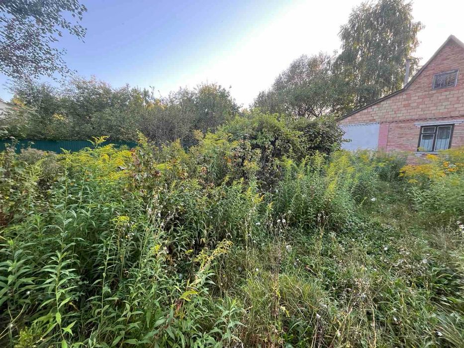 Продам дачний будинок с.Вільне-Тарасівка,