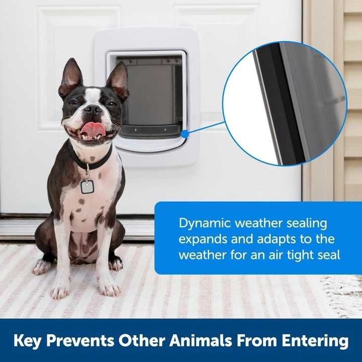 PetSafe Connected drzwiczki dla psa i kota z chipem, Wi-Fi aplikacja L