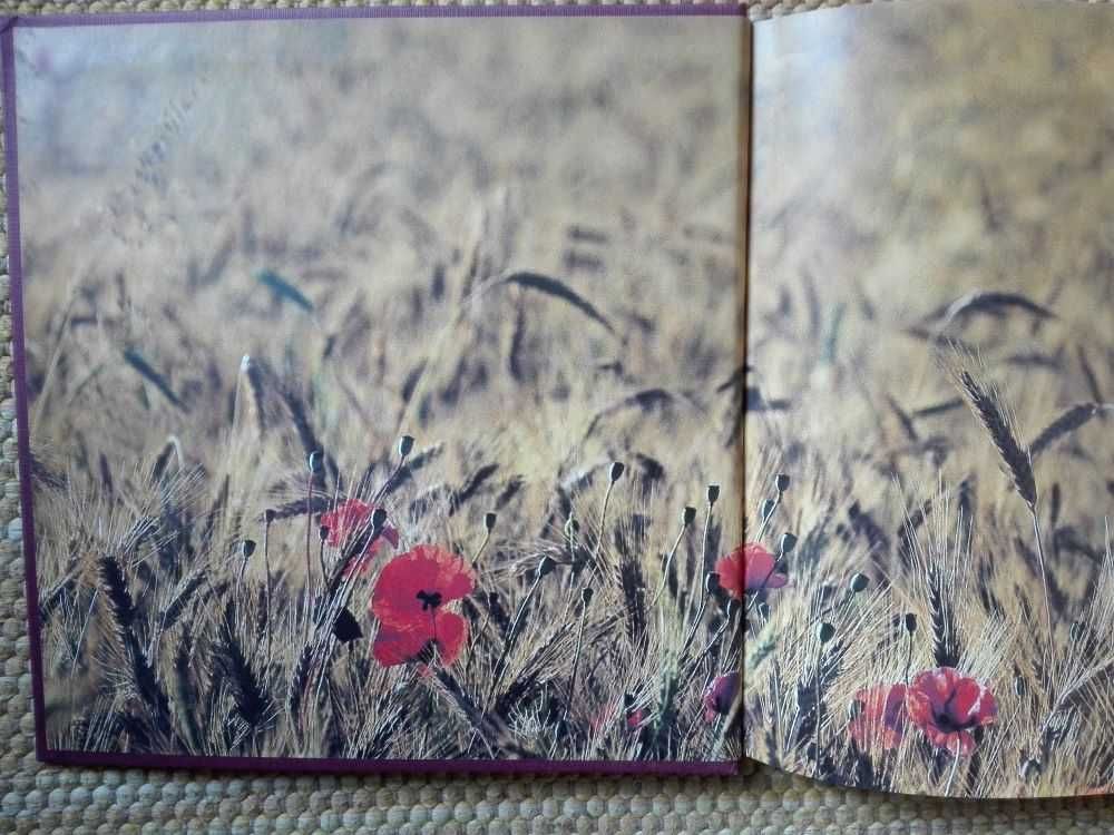 Livro Monsaraz e o seu reguengo | and its royal estate de Rui Cunha