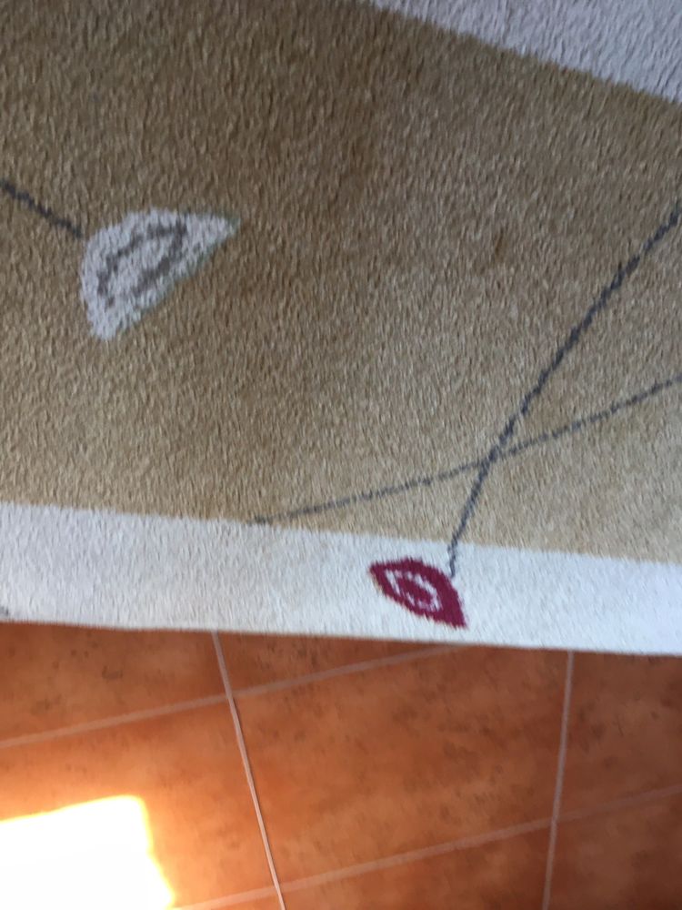 Tapete Passadeira