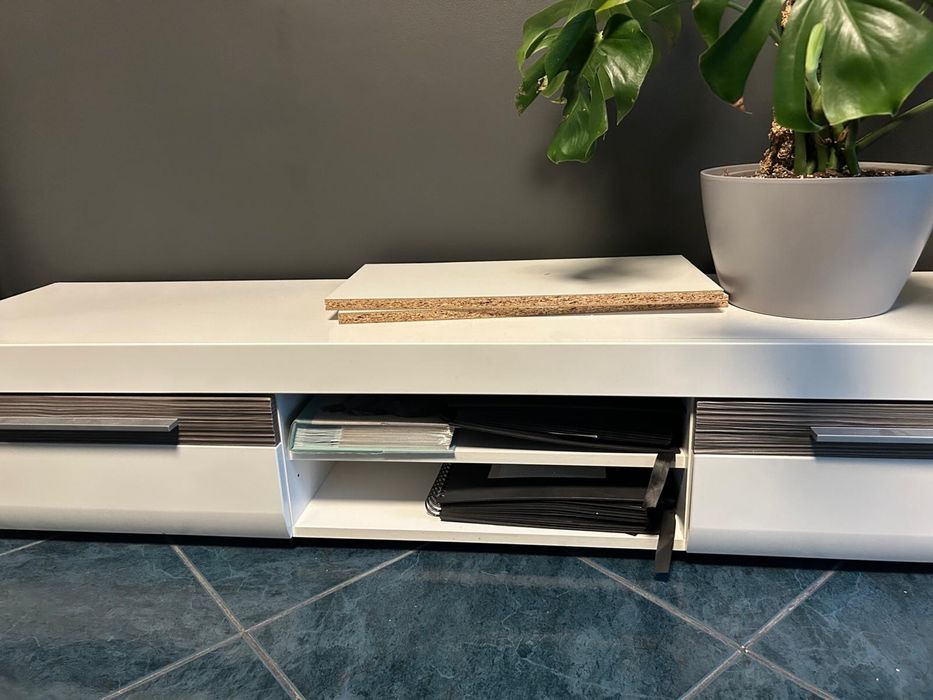 Mebloscianka biala w polysku