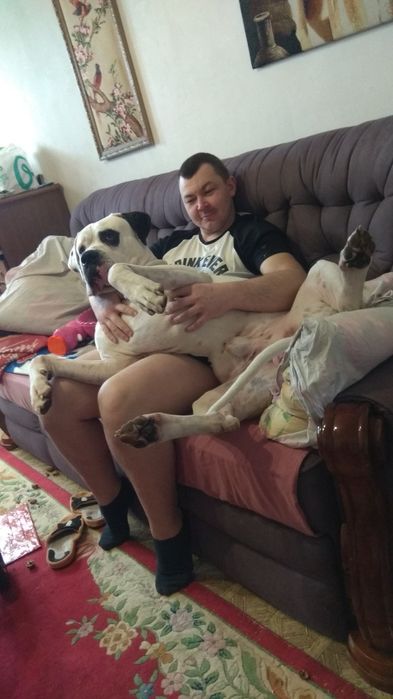 Ищет даму сердца