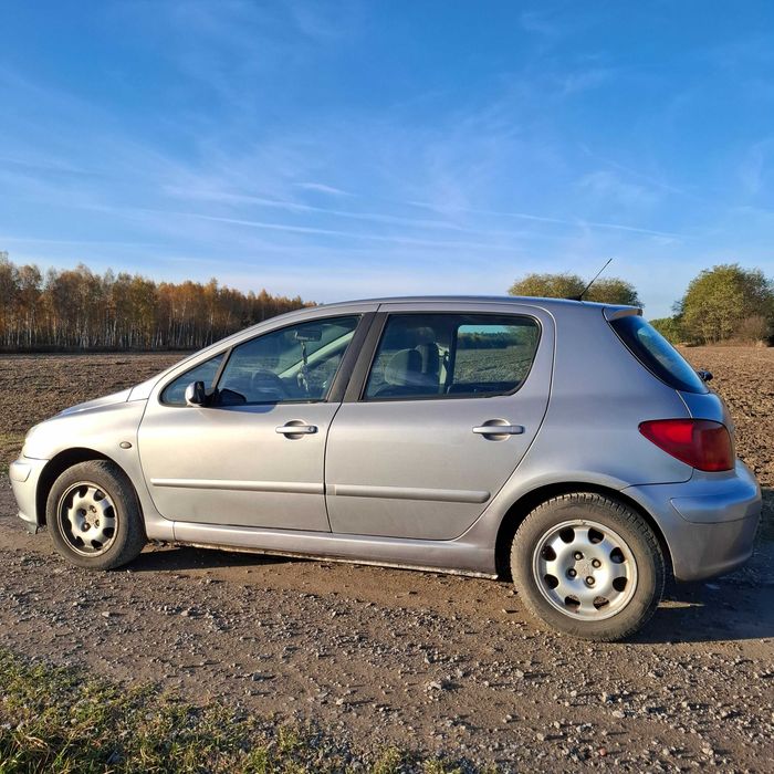 Peugeot 307 2.0 B+G