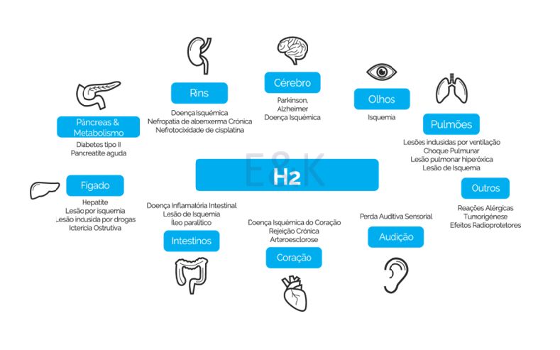 Garrafa de Água Hidrogenadora Portátil