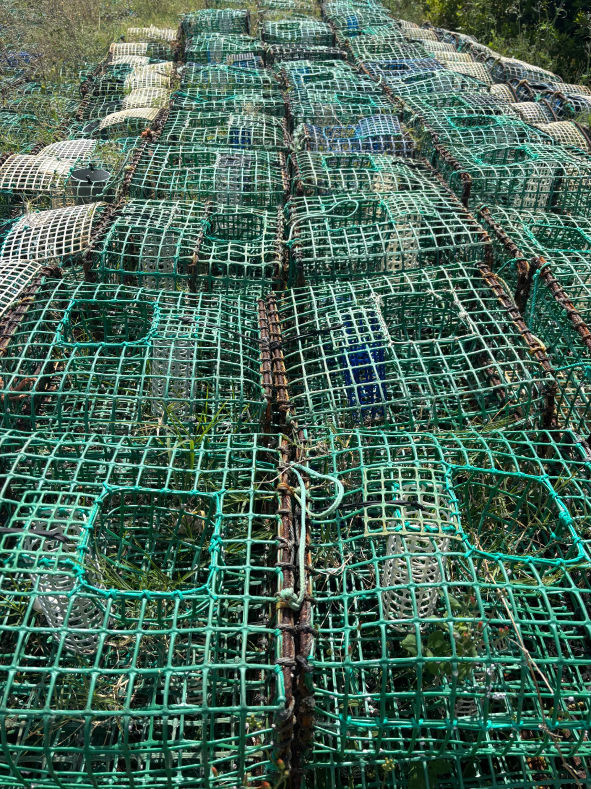 Covos para pesca do polvo !