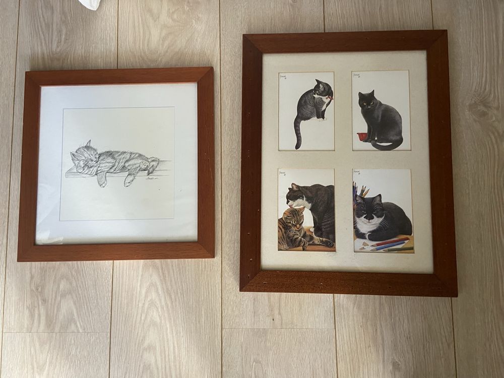 Quadros gatos loja do gato preto