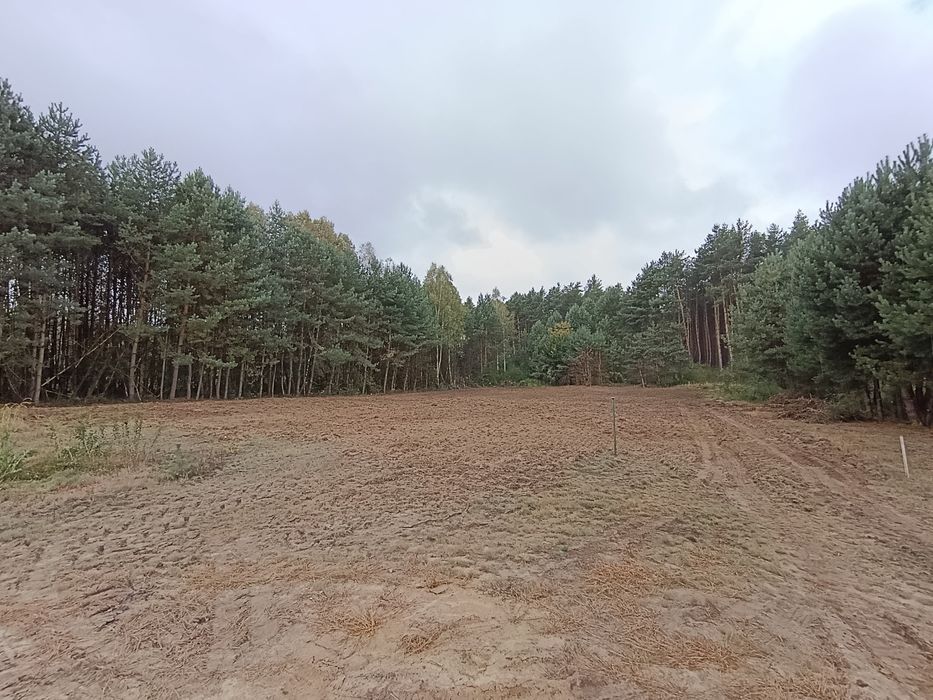 Działka na sprzedaż ożanna