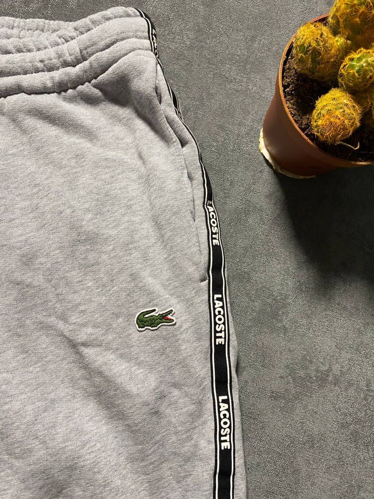 Спортивні штани Lacoste