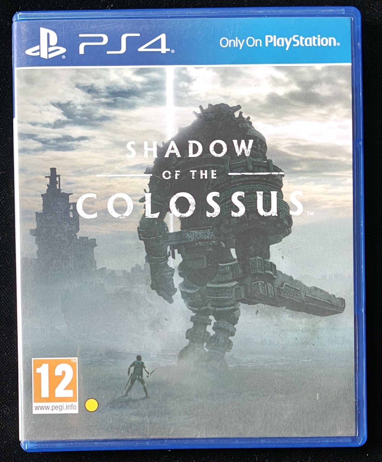 Shadow Of The Colossus PL na PS4 i PS5 po polsku Gra w BDB stanie