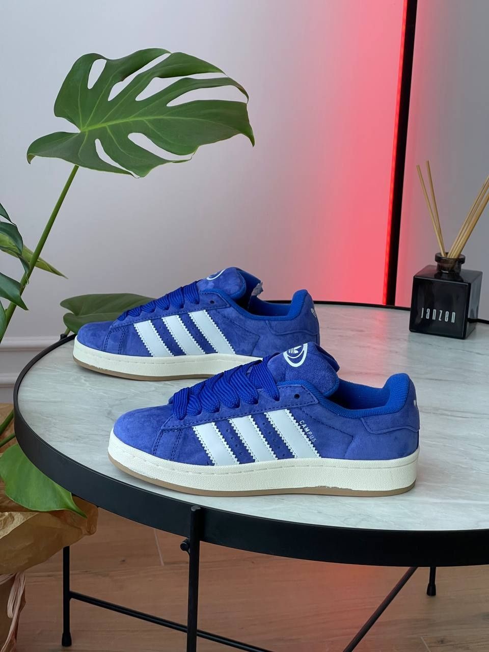 Жіночі кросівки Adidas Campus 00s