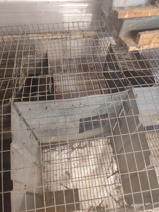 Продаю клітки для кроликів