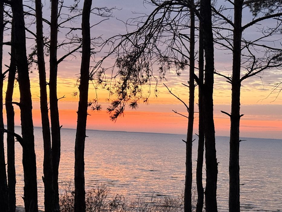 22 сот біля канала з рибою газ в 5 метрах до столиці 25км біля моря